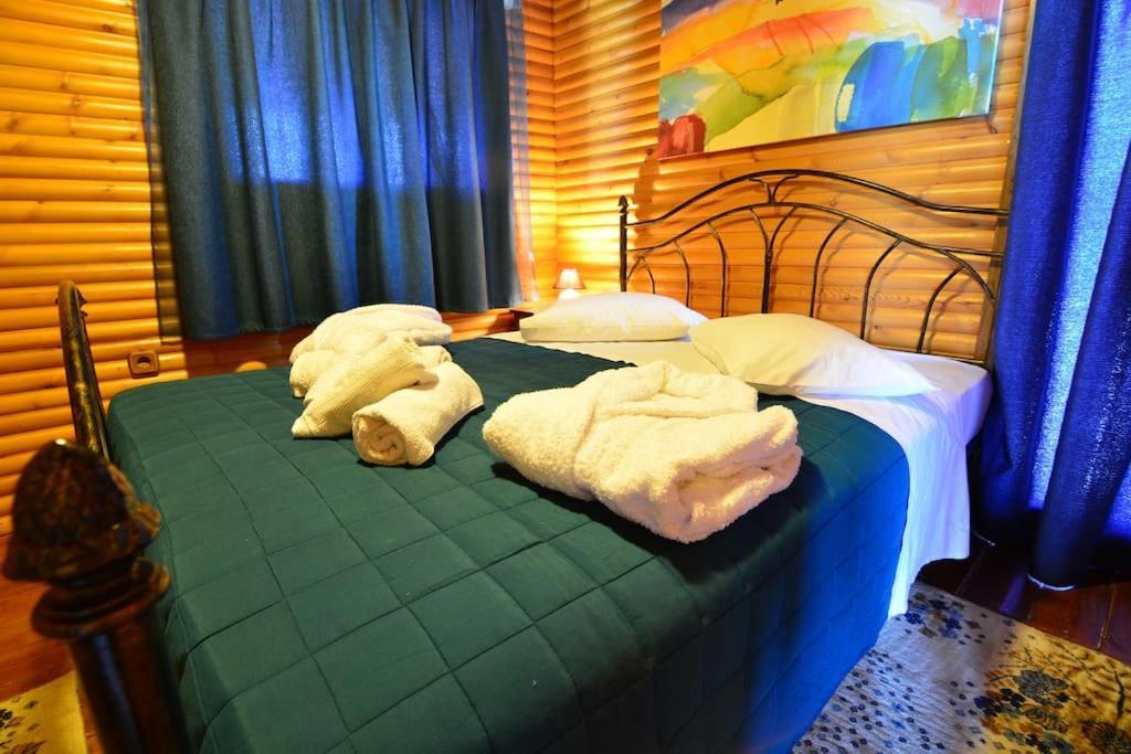 Katoikies Aiolos Kato Sinikia Trikalon ภายนอก รูปภาพ